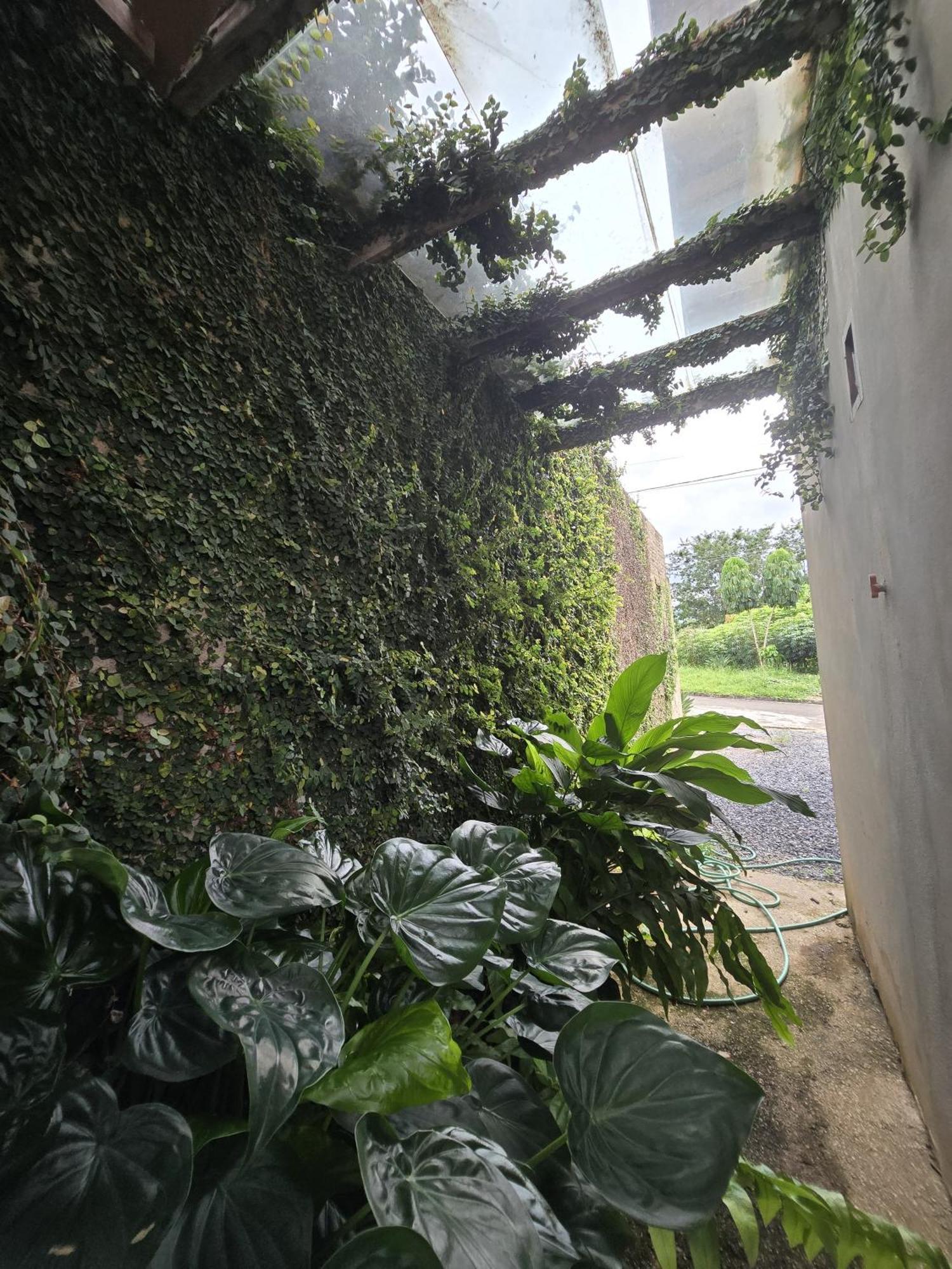 Casa/Chale Furnas - Capitolio Mg Villa Sao Jose da Barra Dış mekan fotoğraf